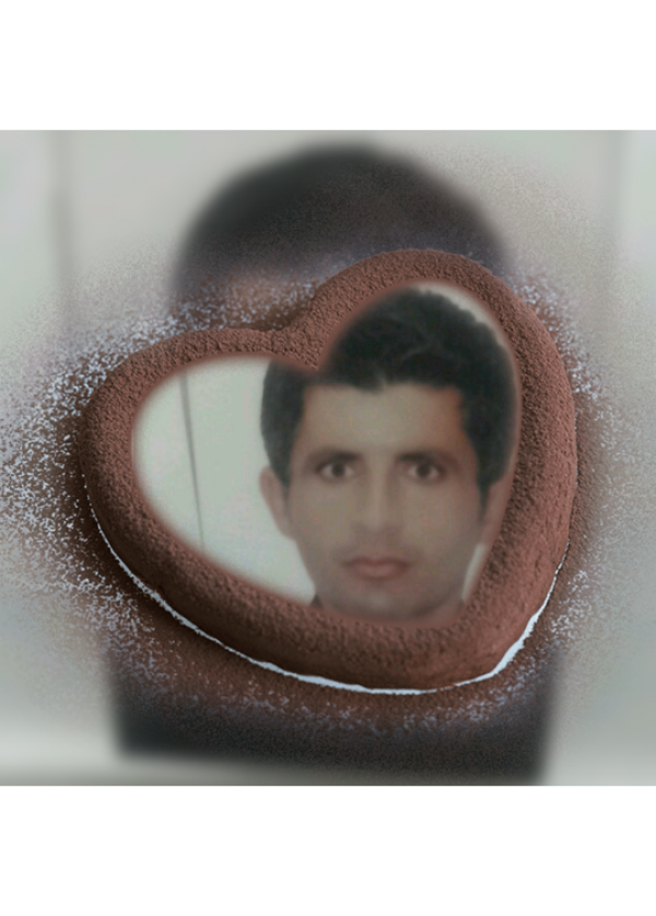 تصویر پروفایل سید مجتبی