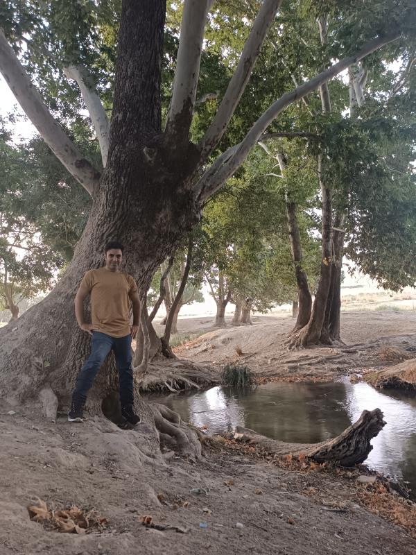 تصویر پروفایل مازیار