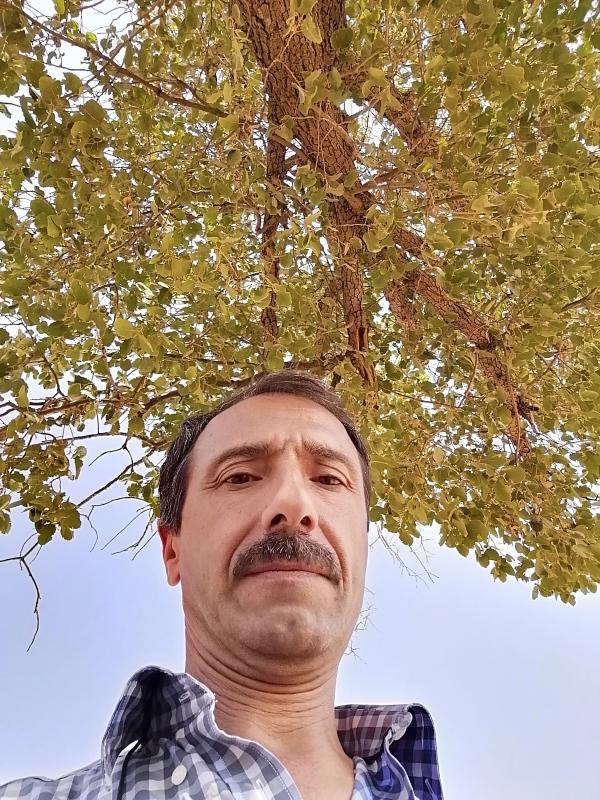 تصویر پروفایل نادر
