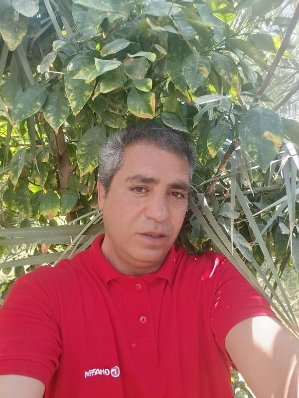 تصویر پروفایل سعید