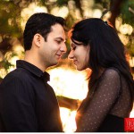 همسریابی توران81 چه فعالیتی دارد؟