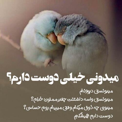 تصویر 3ay ir ورود به سایت همسریابی هلو بدون فیلتر تصویر 3ay ir ورود به سایت همسریابی هلو بدون فیلتر